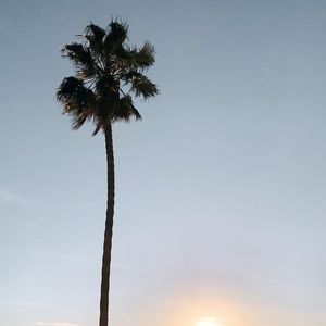 Meet your Posher, Evan